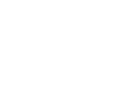 Hank Von hell Logo